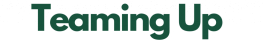 Logo Teaming Up GmbH